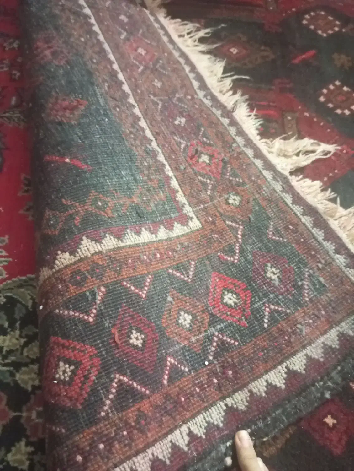 قالی دستباف بدون سوختگی و پارگی|فرش|زابل, |دیوار