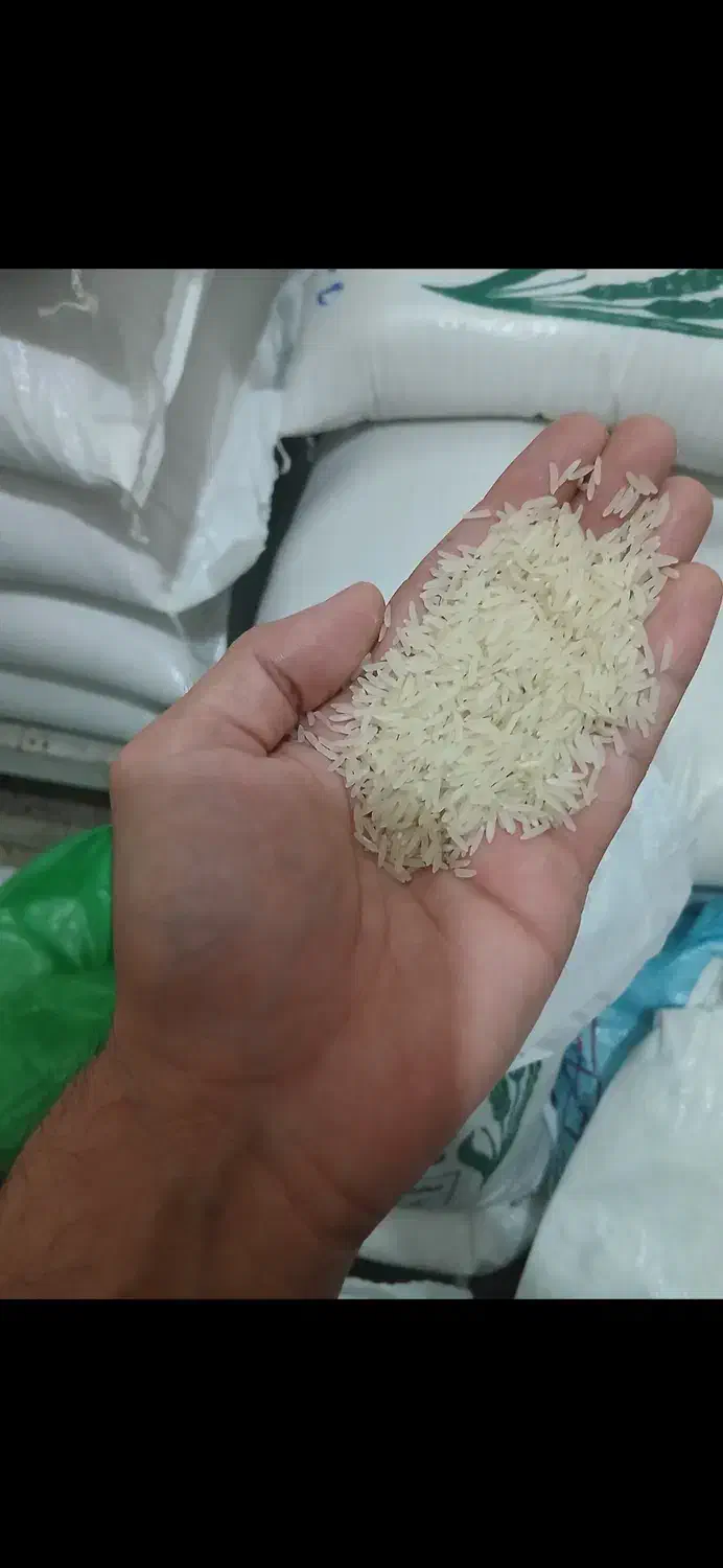 برنج فجر|خوردنی و آشامیدنی|گنبد کاووس, |دیوار