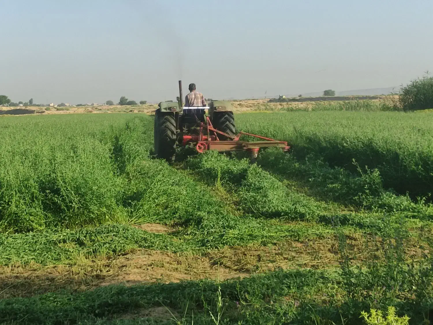 یونجه پاک|لوازم جانبی حیوانات|خرم‌آباد, |دیوار