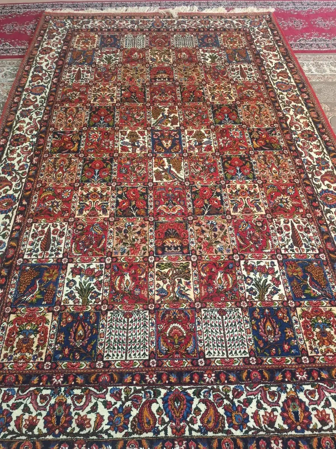 قالی دست بافت شش متری|فرش|شهرکرد, |دیوار