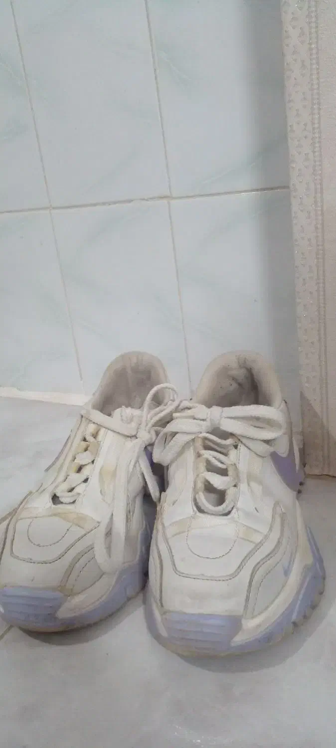 کفش زنونه|کیف، کفش، کمربند|خوی, |دیوار