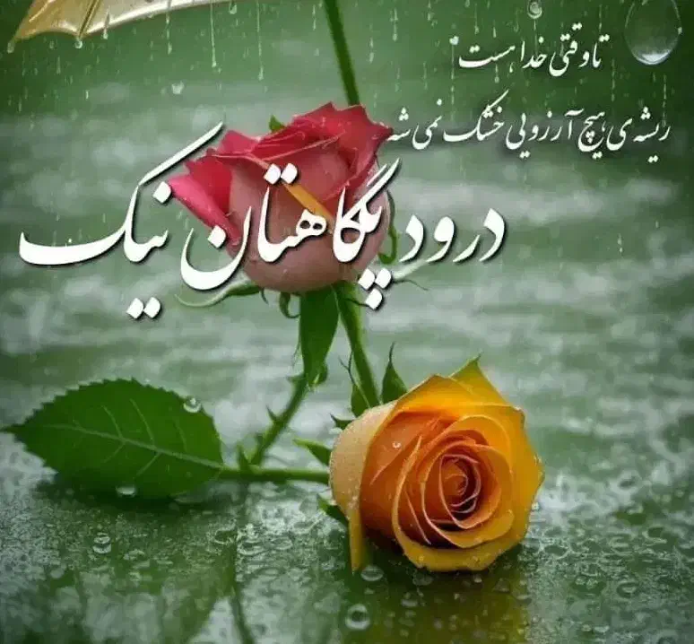 فروش وام|خدمات مالی، حسابداری، بیمه|صدرا-فارس, باغشهر گلبهار صدرا|دیوار