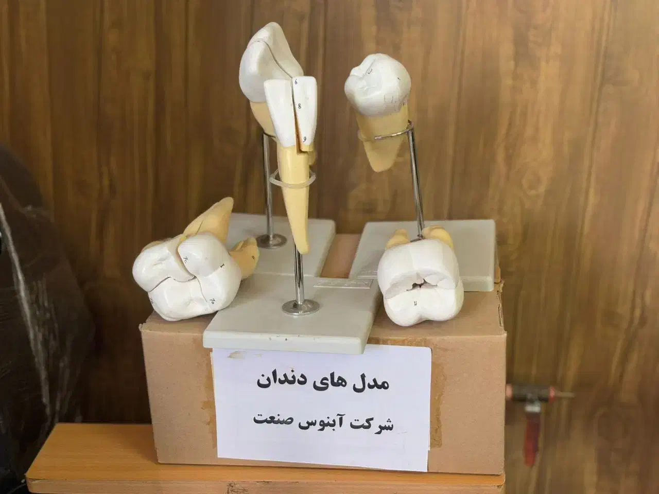 مولاژ دندان|آرایشی، بهداشتی، درمانی|شیراز, حافظیه|دیوار