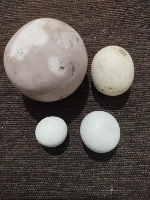 سنگ عتیقه|کلکسیون اشیاء عتیقه|قوچان, |دیوار