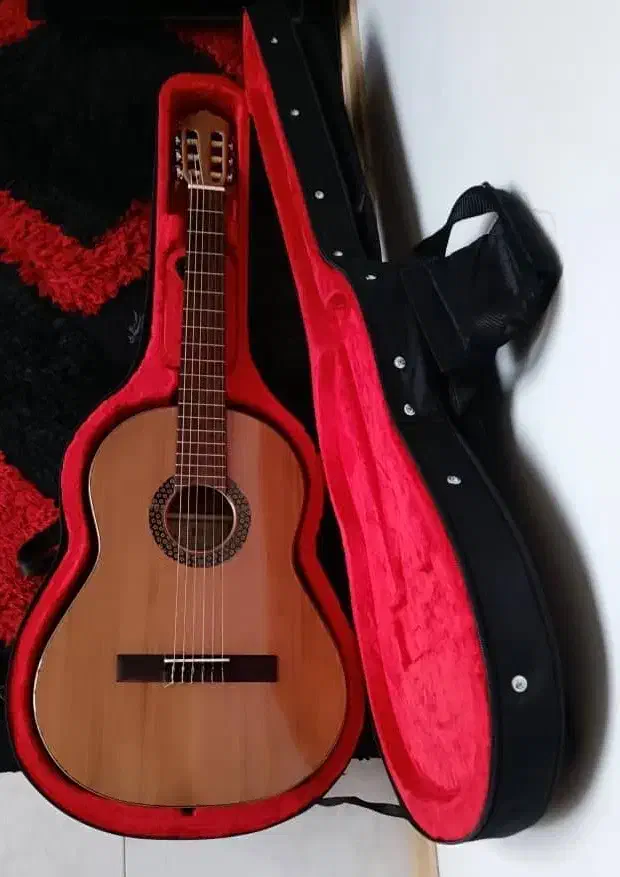 گیتار مدل دوریس+Ds|گیتار، بیس، امپلیفایر|فولادشهر, B7|دیوار