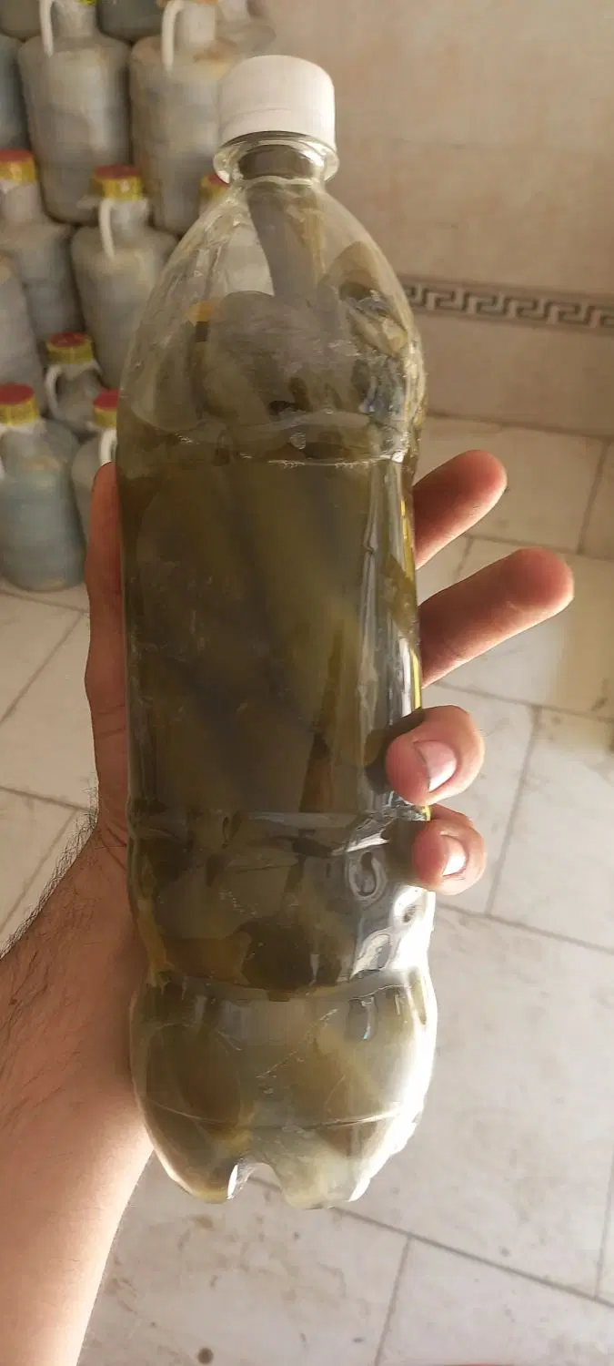 خیارشور و ترشیجات و زیتون|خوردنی و آشامیدنی|تهران, توحید|دیوار