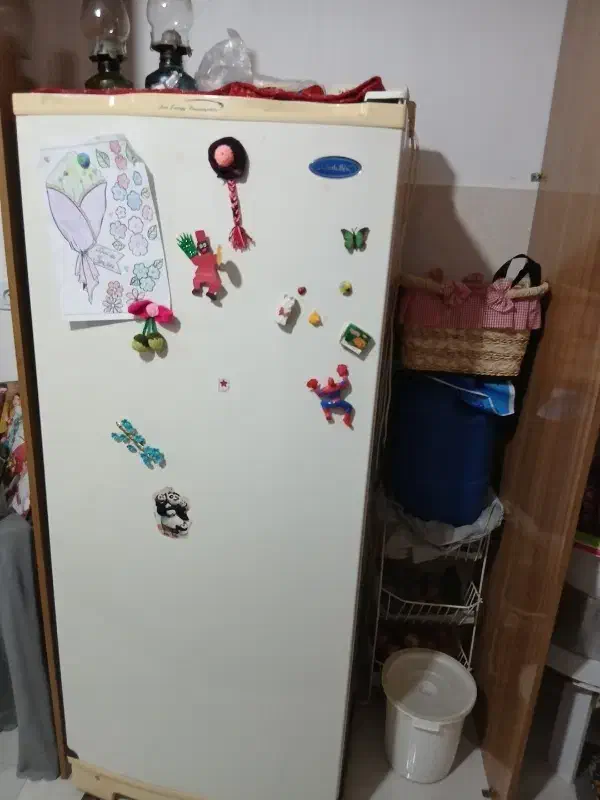 یخچال|یخچال و فریزر|رشت, خرسندی|دیوار