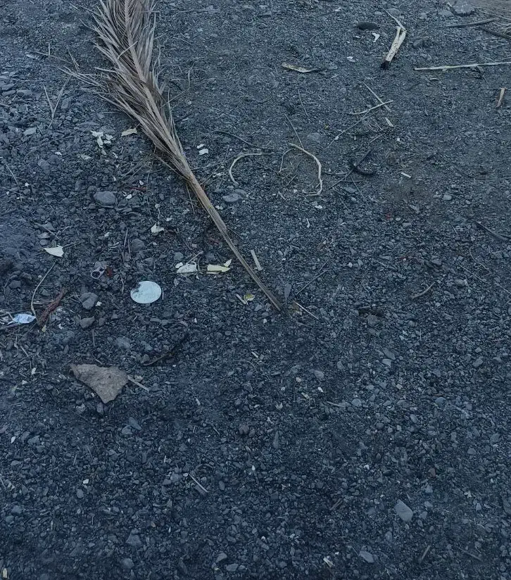 فروش زمین ۱۸۰متری درنوکابادسرهنگ خ. مسجدجامع قبا|فروش زمین و ملک کلنگی|بمپور, |دیوار