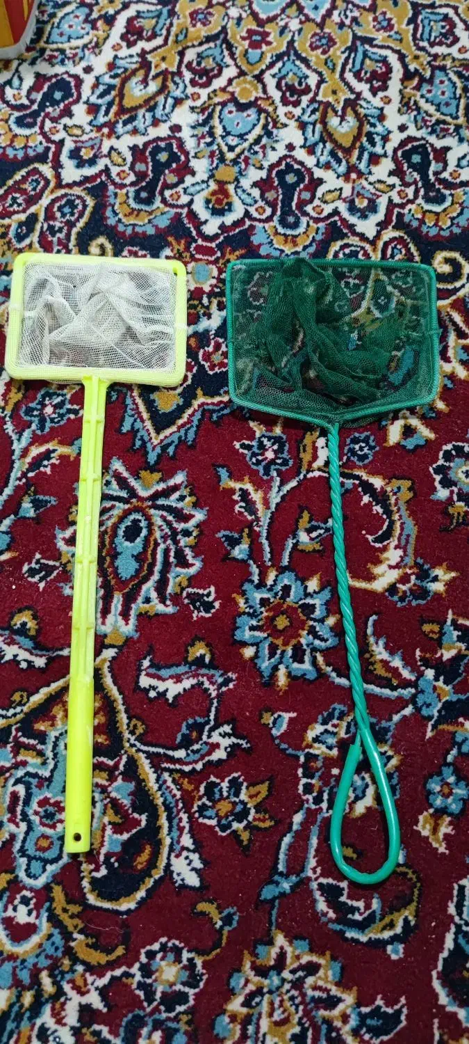 آکواریوم|ماهی|بیرجند, |دیوار