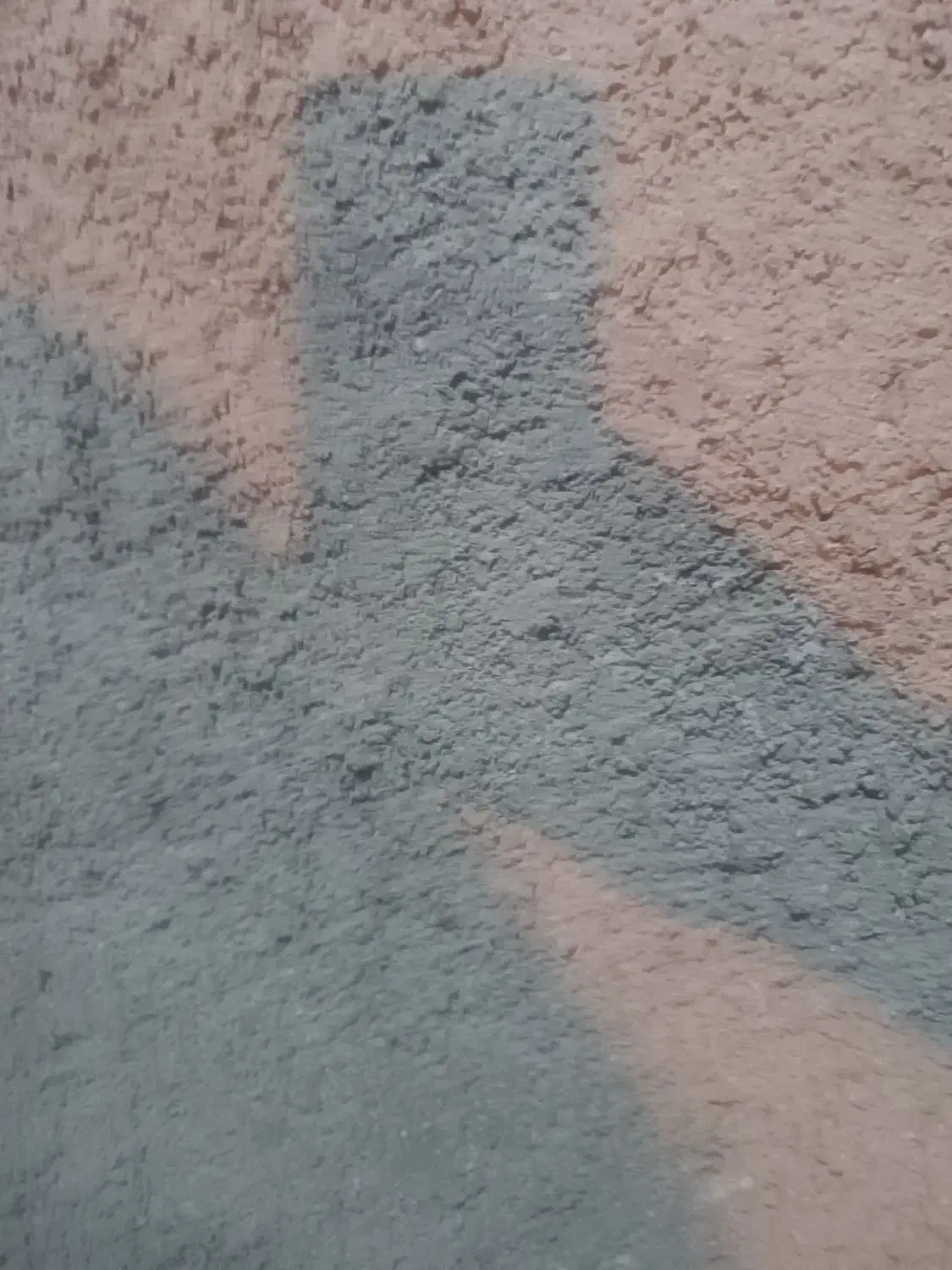 جو بذری تضمین|عمدهفروشی|آق قلا, |دیوار