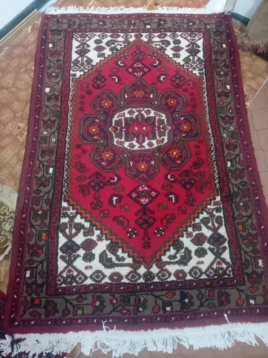 فرش دستباف|فرش|ابهر, |دیوار