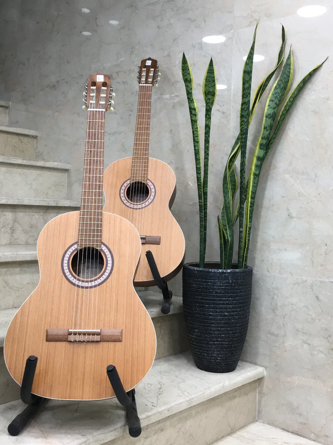 گیتارکلاسیک فاروکا cf1|گیتار، بیس، امپلیفایر|تهران, سلسبیل شمالی|دیوار