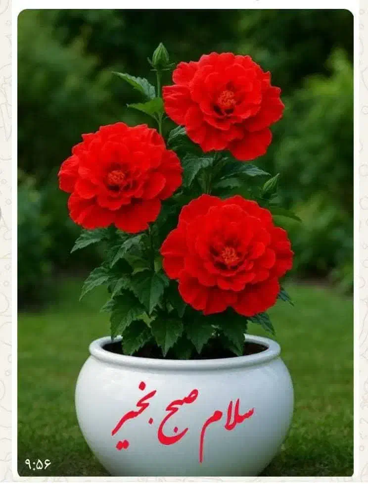 تدریس خصوصی مقطع ابتدایی|خدمات آموزشی|شیراز, تحویلی|دیوار