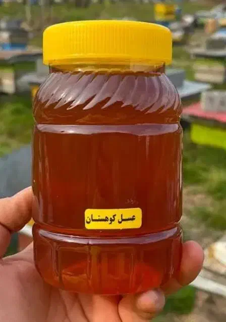 عسل طبیعی  کوهی اسالم ارسال به سراسر کشور|خوردنی و آشامیدنی|نوشهر, |دیوار