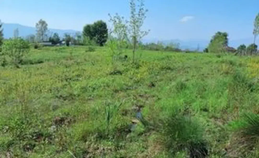 باغ کوچک در بهترین منطقه خوش آب و هوایی|فروش زمین و ملک کلنگی|کندوان, |دیوار