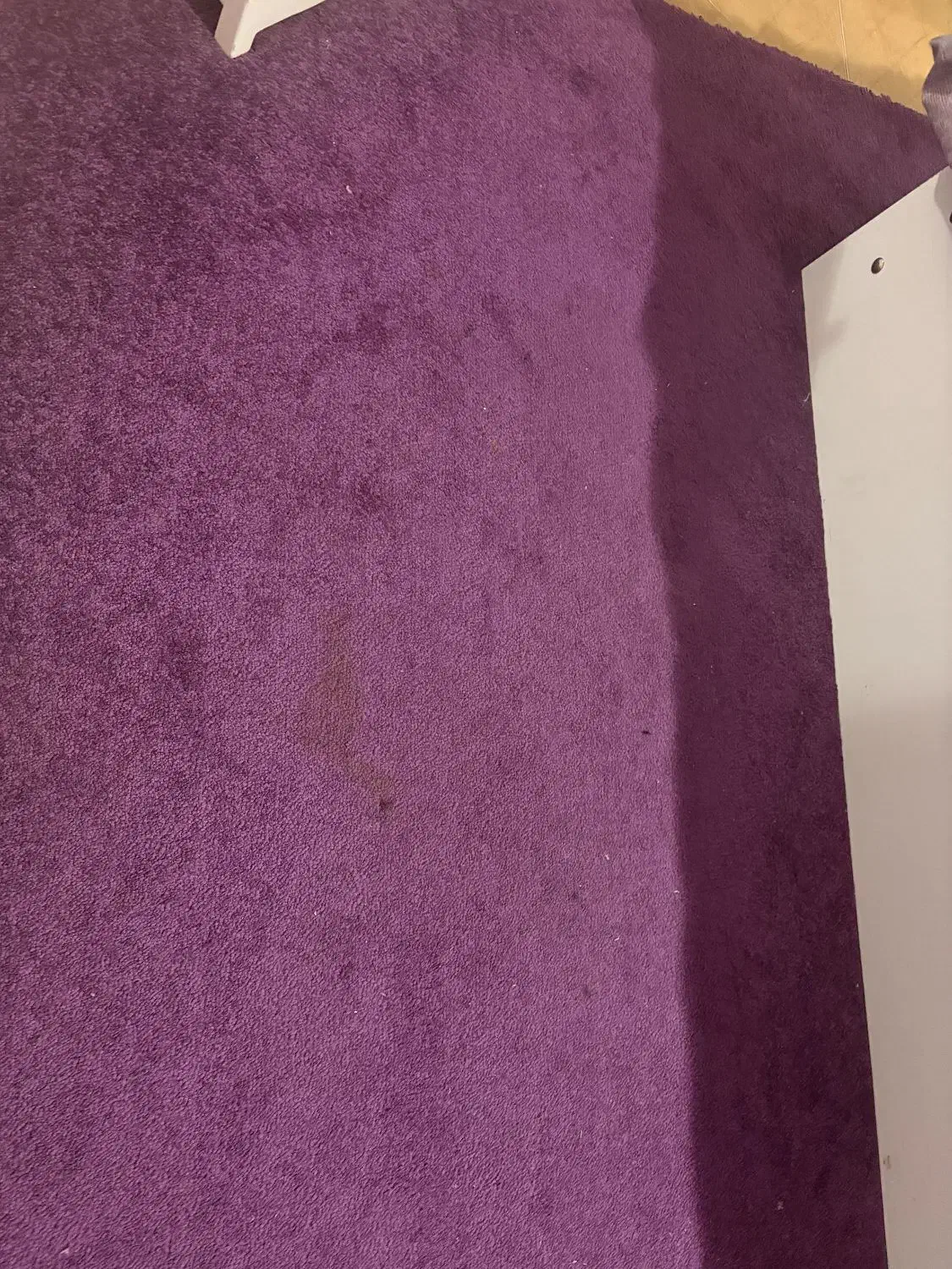 پالاز موکت|موکت|همدان, |دیوار