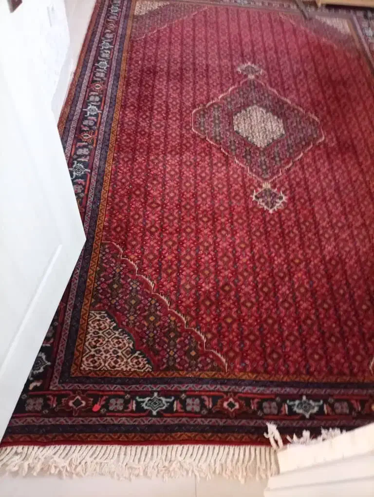 فروش یک جفت فرش دستباف ماهی ریزباف۶متری۲×۳|فرش|سهند, |دیوار