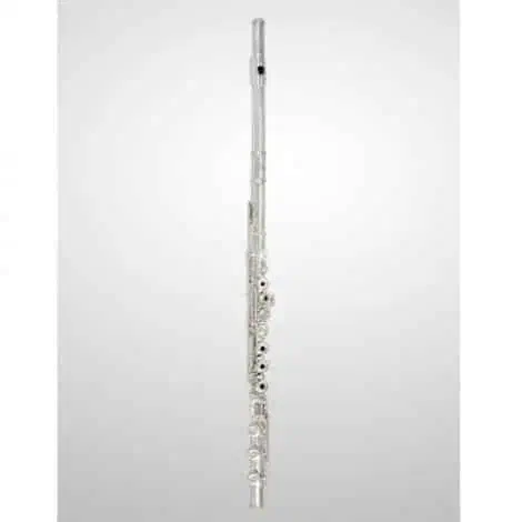 فلوت کلیددار|سازهای بادی|همدان, |دیوار