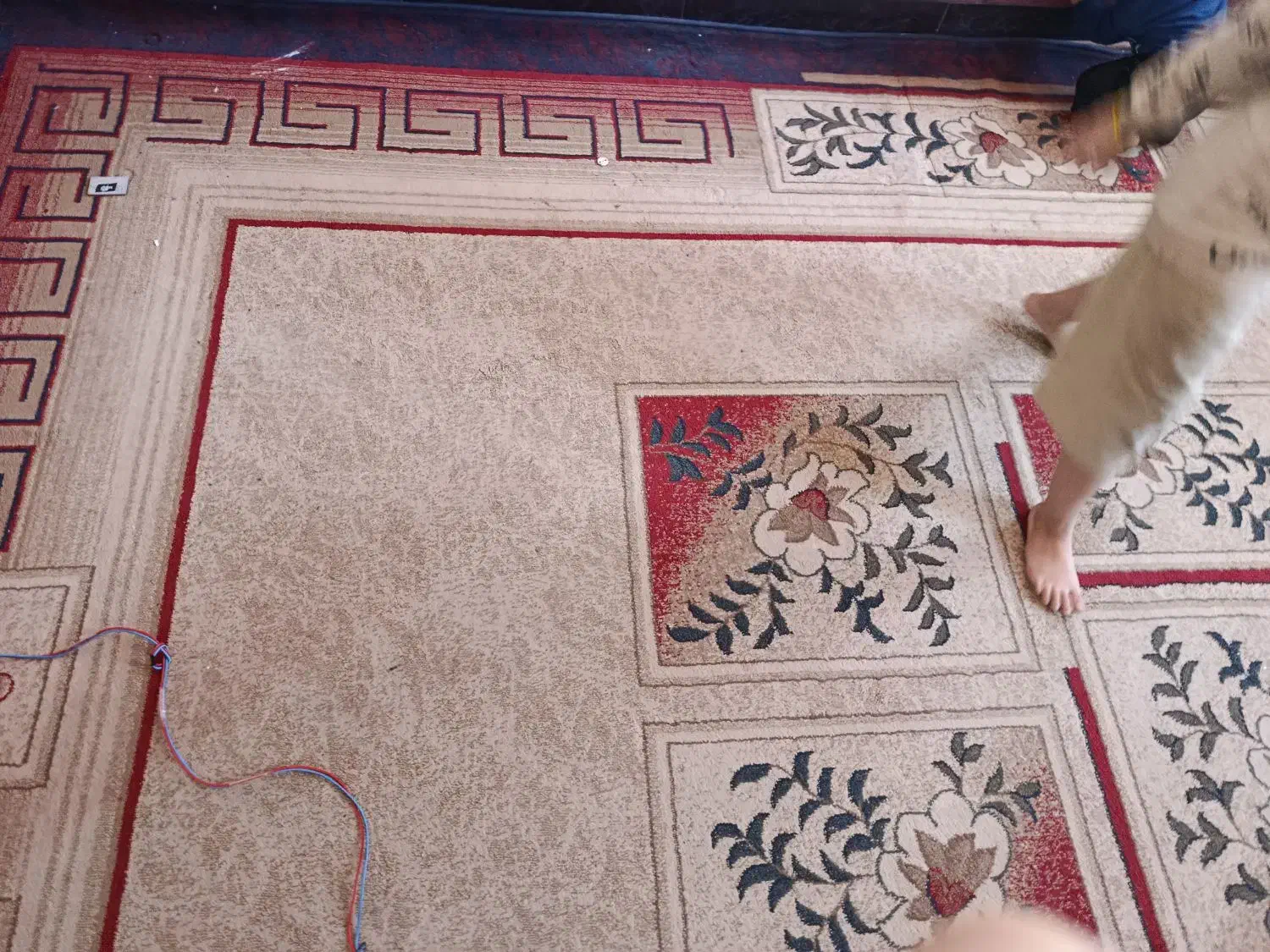 فرش گلیم زخیم 12|گلیم، جاجیم، گبه|بروجرد, |دیوار