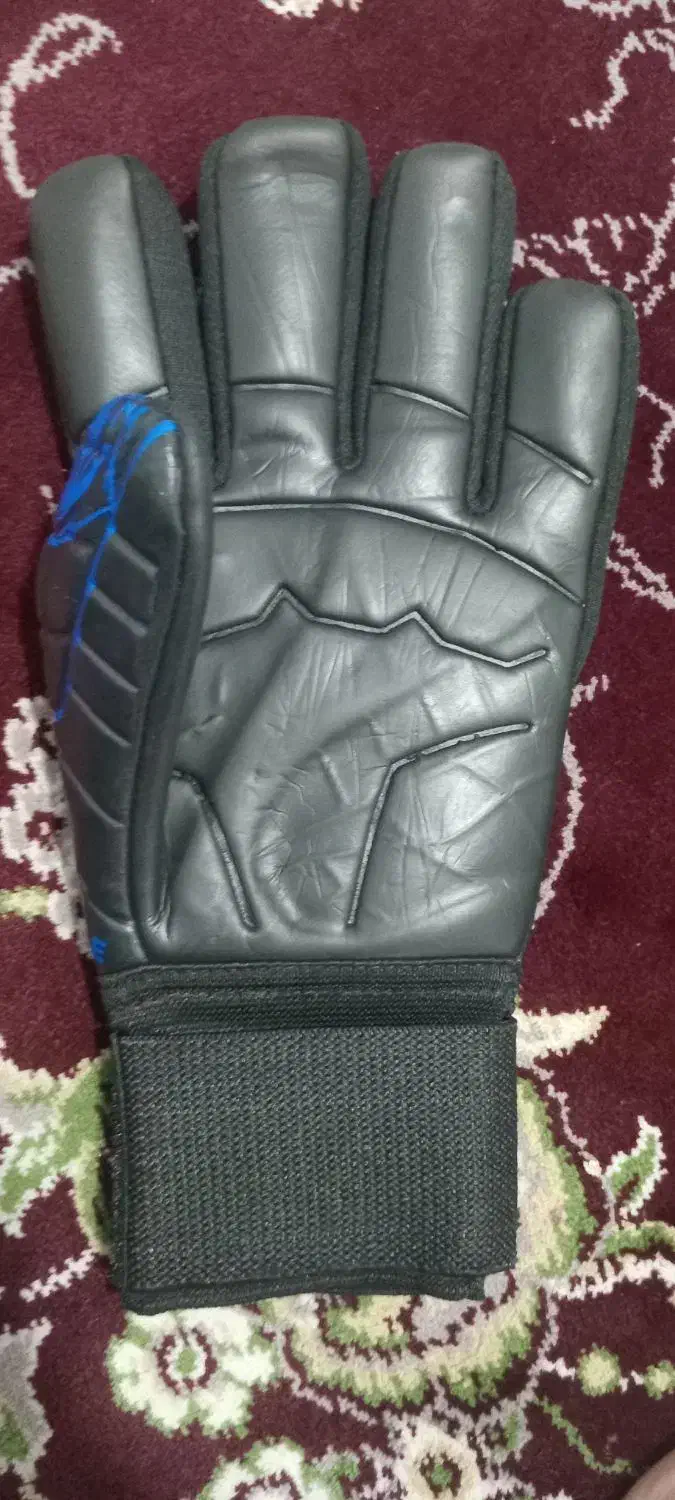 دستکش دروازبانی|تجهیزات ورزشی|محمدشهر, ولدآباد|دیوار