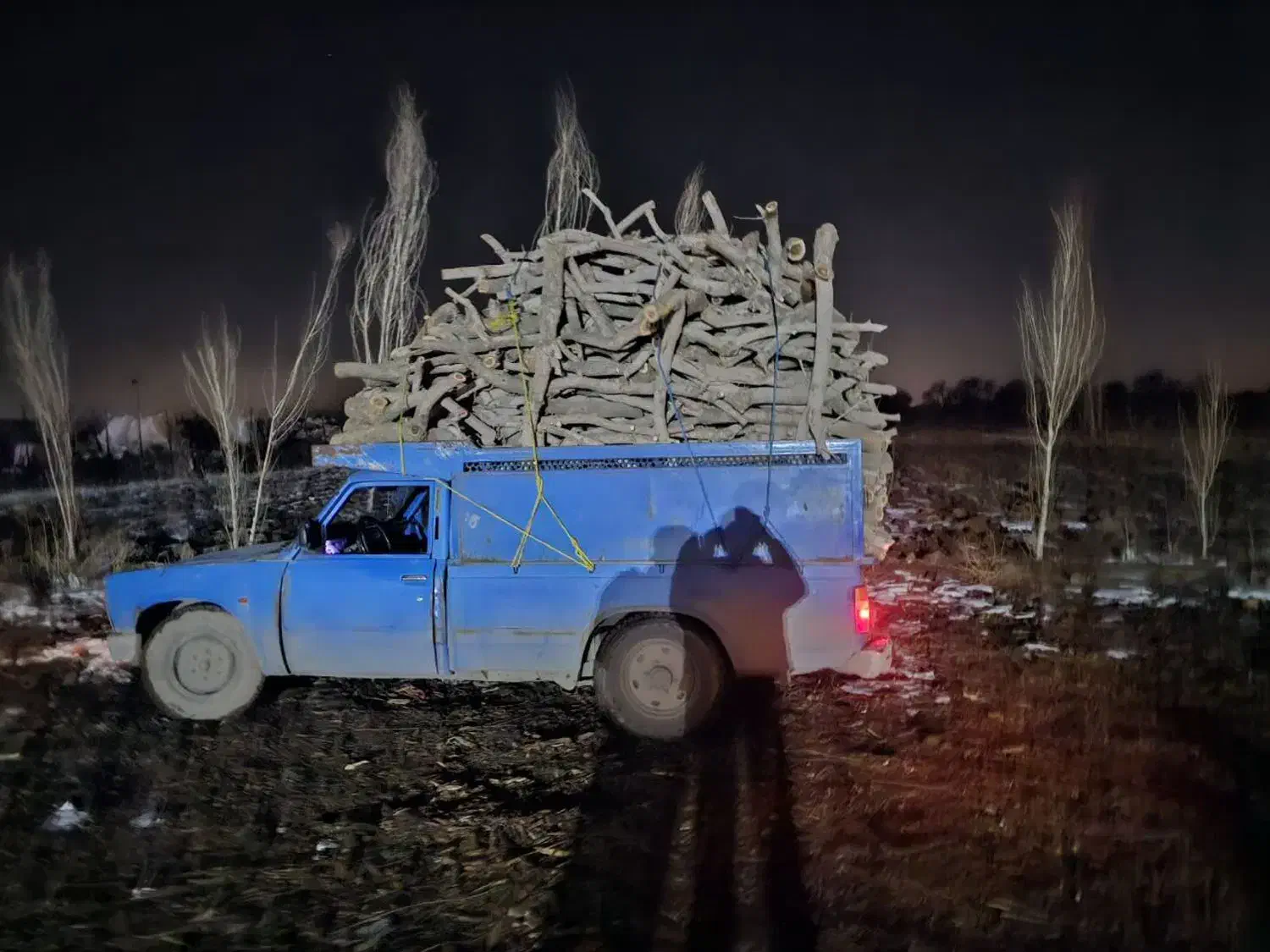 تیر سقفی چوب خرید هرس|خدمات باغبانی و درختکاری|قزوین, |دیوار