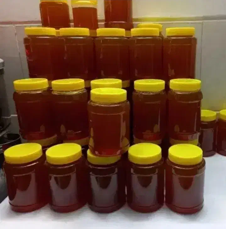 عکس طبیعی کوهی|خوردنی و آشامیدنی|بختگان, |دیوار