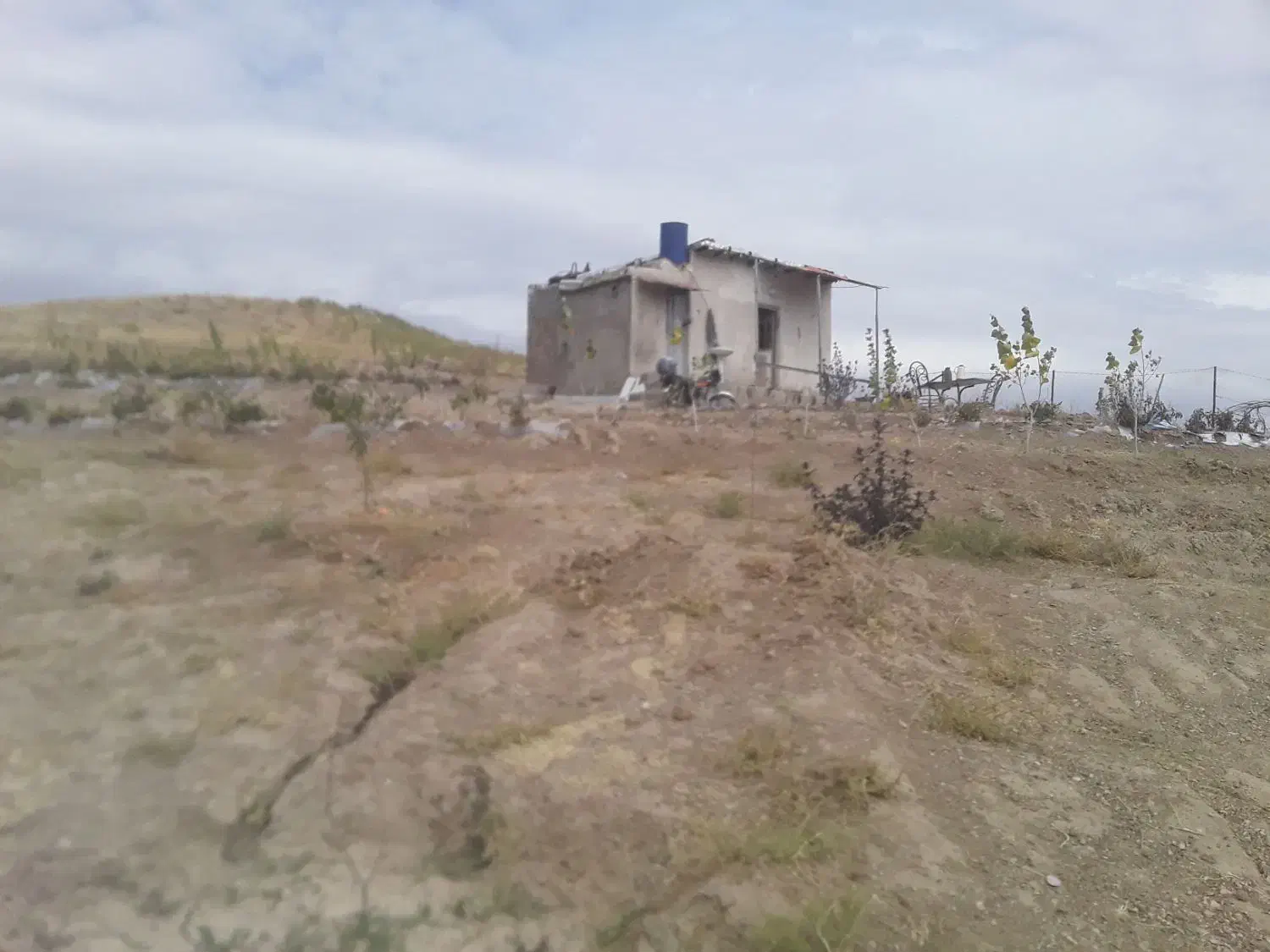 زمین باغی|فروش خانه و ویلا|هریس, |دیوار