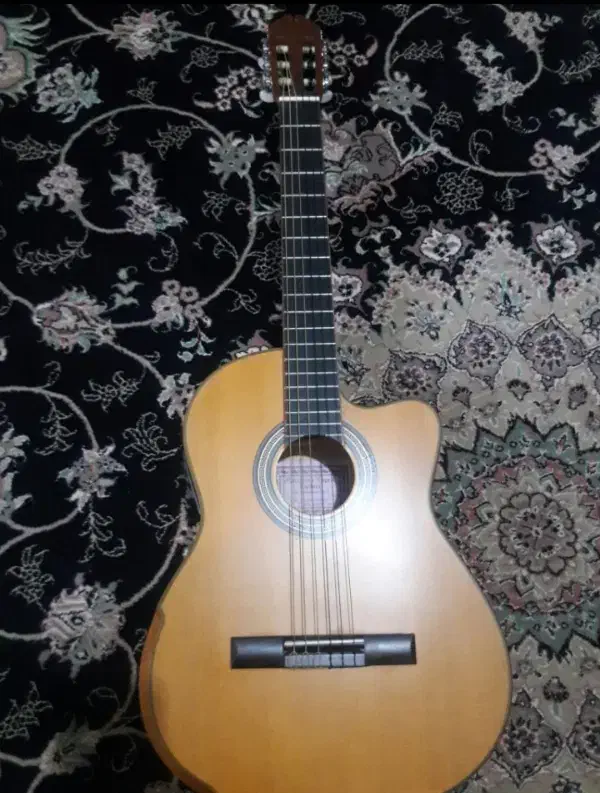 گیتار نوع نوع|گیتار، بیس، امپلیفایر|رشت, اسماعیل آباد|دیوار