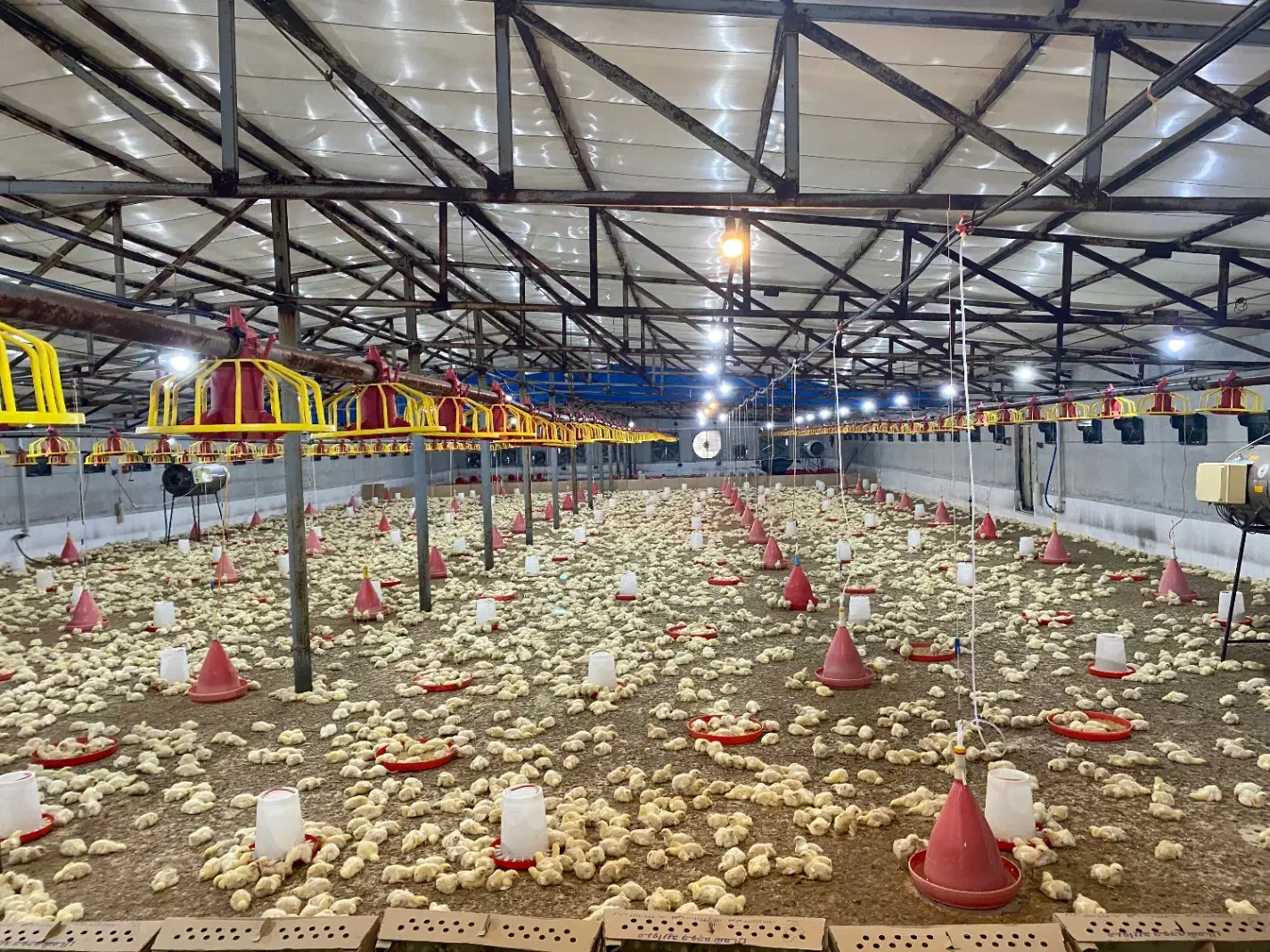 سالندار به همراه خانواده برای مرغداری|استخدام صنعتی، فنی، مهندسی|گرگان, |دیوار