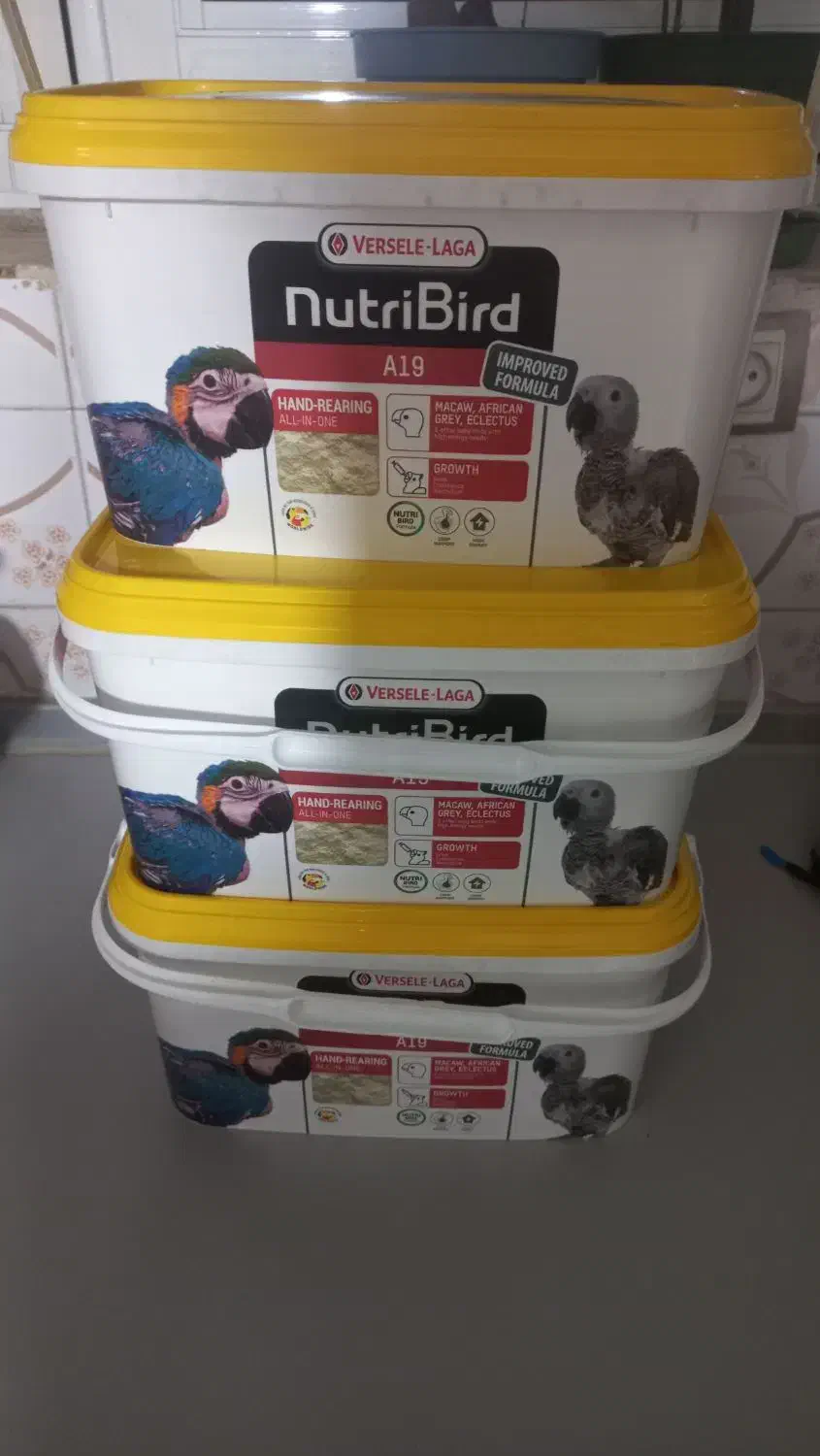 سرلاک a19|لوازم جانبی حیوانات|قم, شاه ابراهیم|دیوار