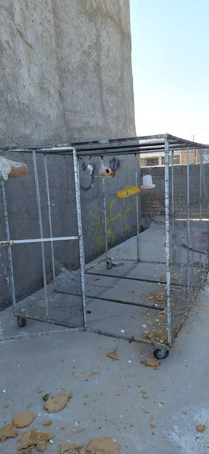 قفس پرنده‌ و مرغ و خروس|لوازم جانبی حیوانات|لامرد, |دیوار