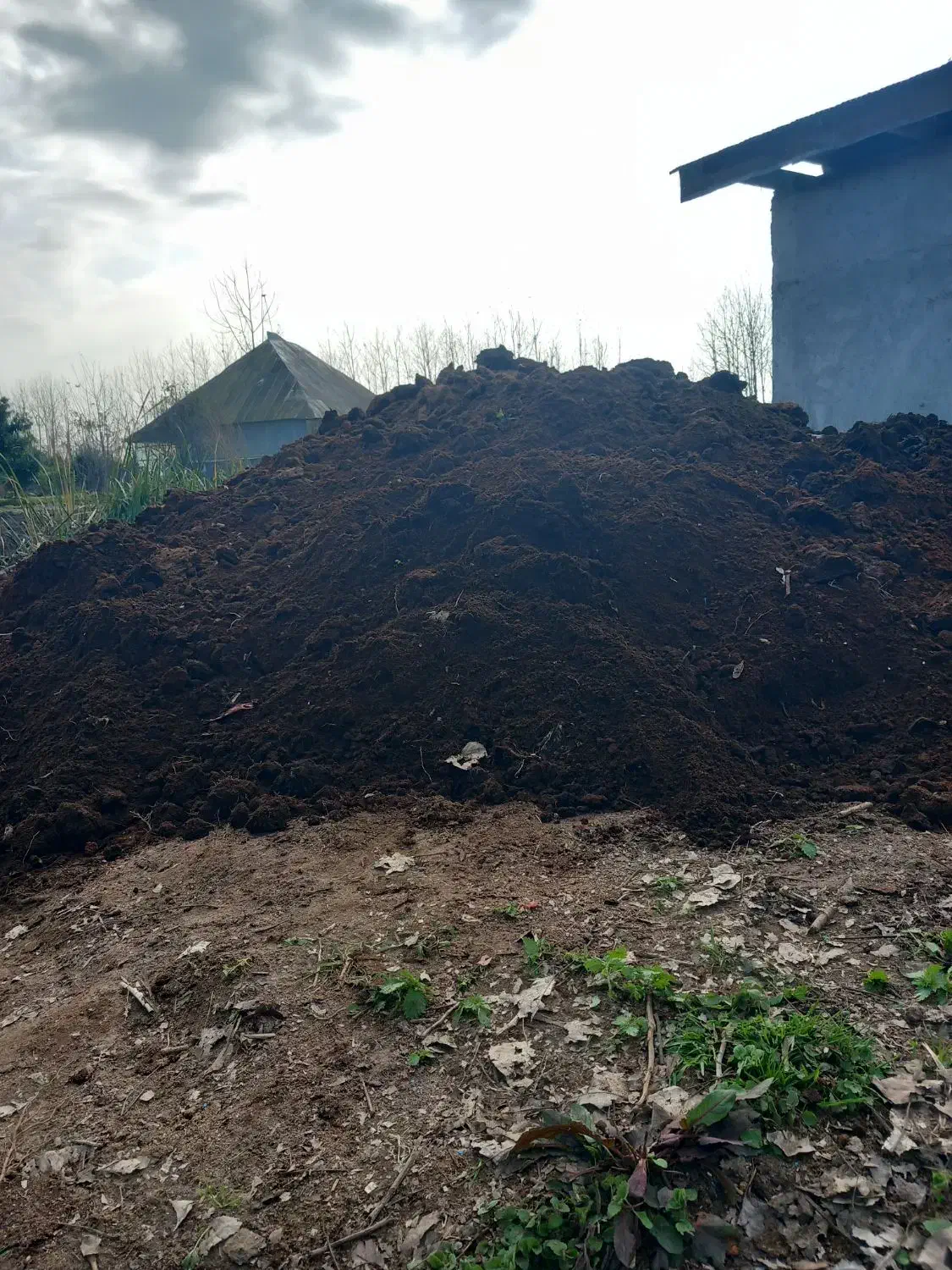 خاک حیوانی کود|خدمات باغبانی و درختکاری|آستانه اشرفیه, |دیوار