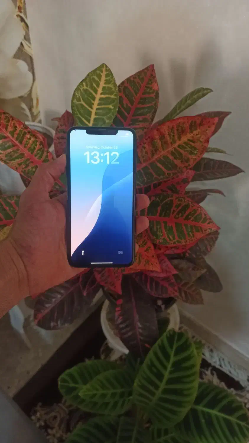 آیفونXS حافظه 256|موبایل|تهران, مینای جنوبی|دیوار