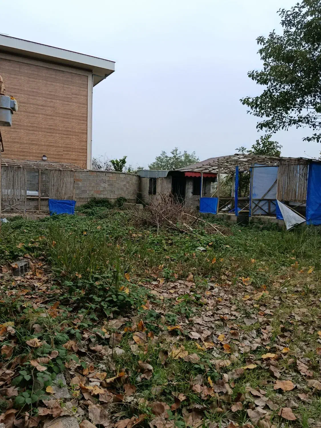 فروش زمین تک برگ سند براول خیابون اصلی|فروش زمین و ملک کلنگی|چاف و چمخاله, |دیوار