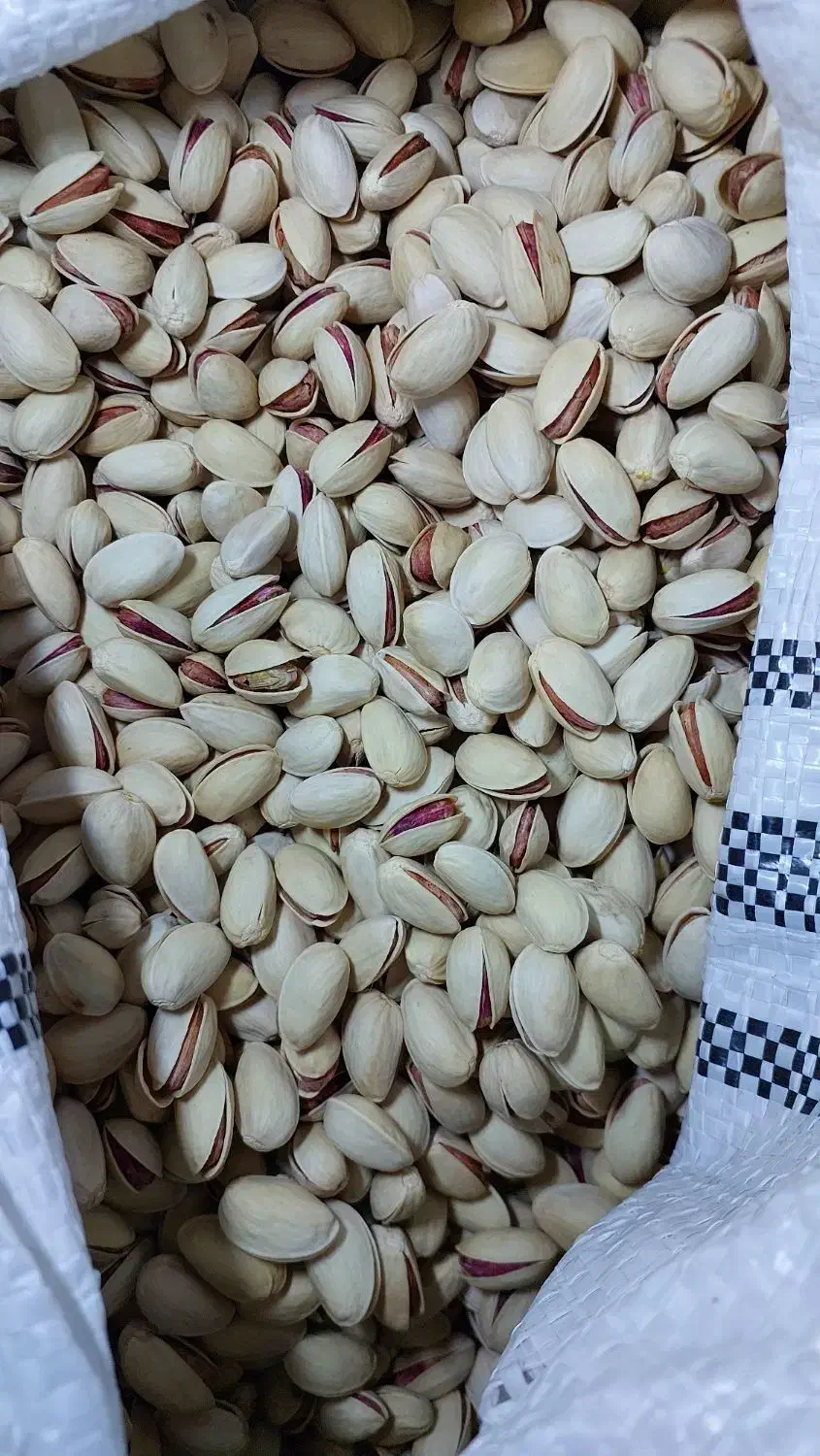 پسته احمد اقایی درجه یک|خوردنی و آشامیدنی|مرودشت, گندم‎|دیوار