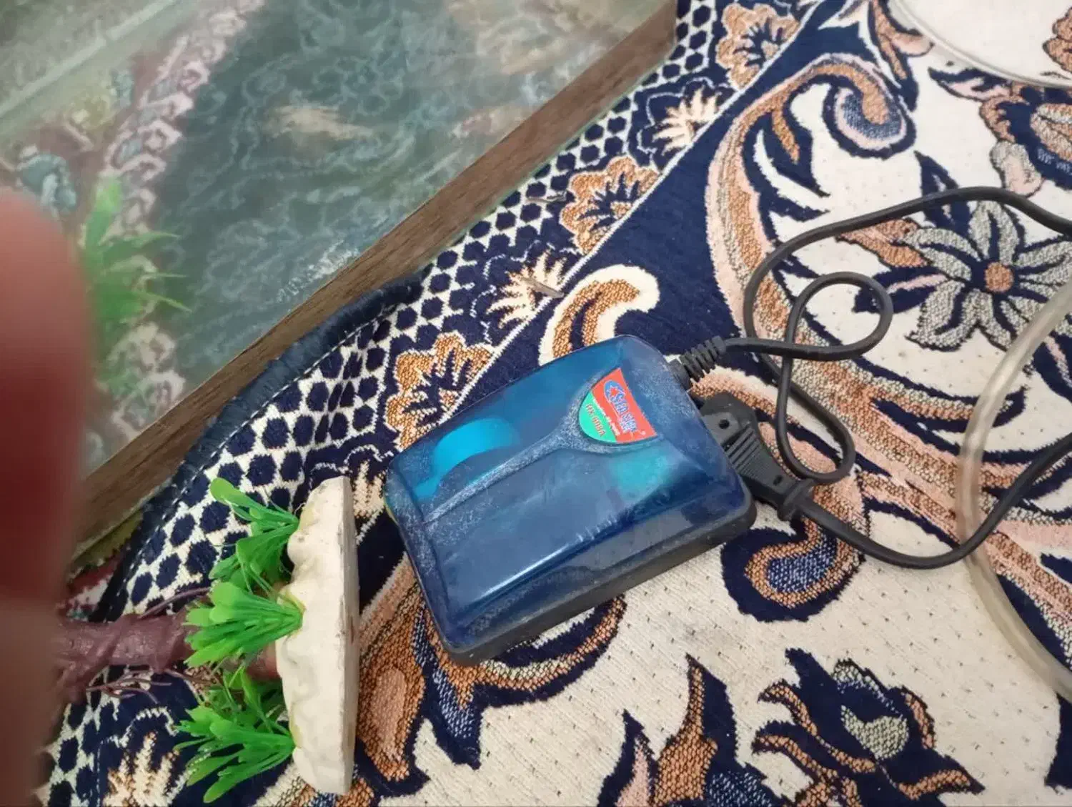 لوازم اکواریم|ماهی|مشهد, قائم|دیوار