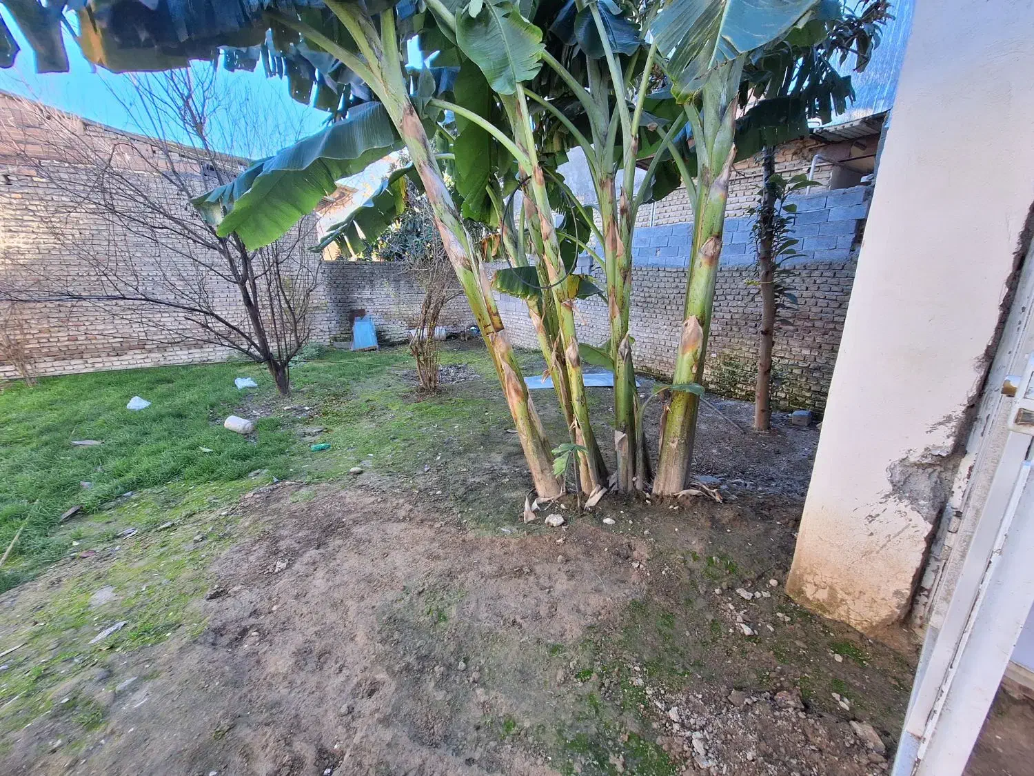 خانه و مغازه ۵کیلومتری دریا|فروش خانه و ویلا|طبقده, |دیوار