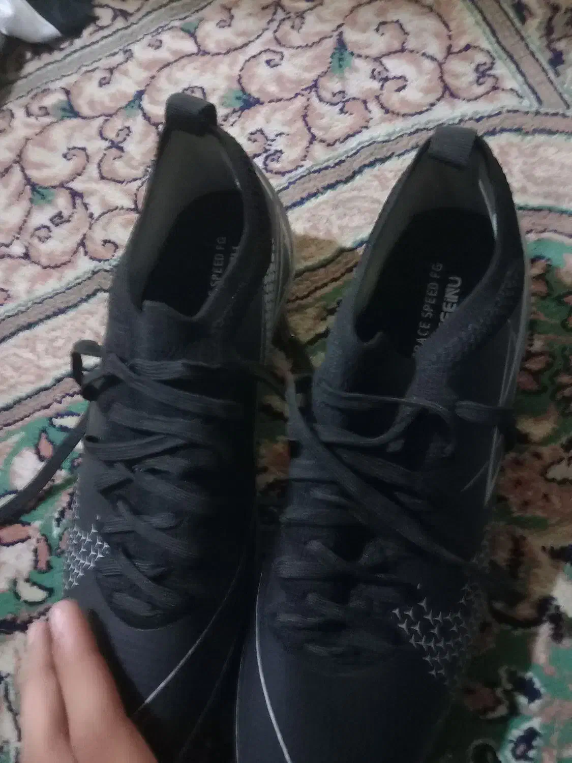 سالم|کیف، کفش، کمربند|گرگان, |دیوار