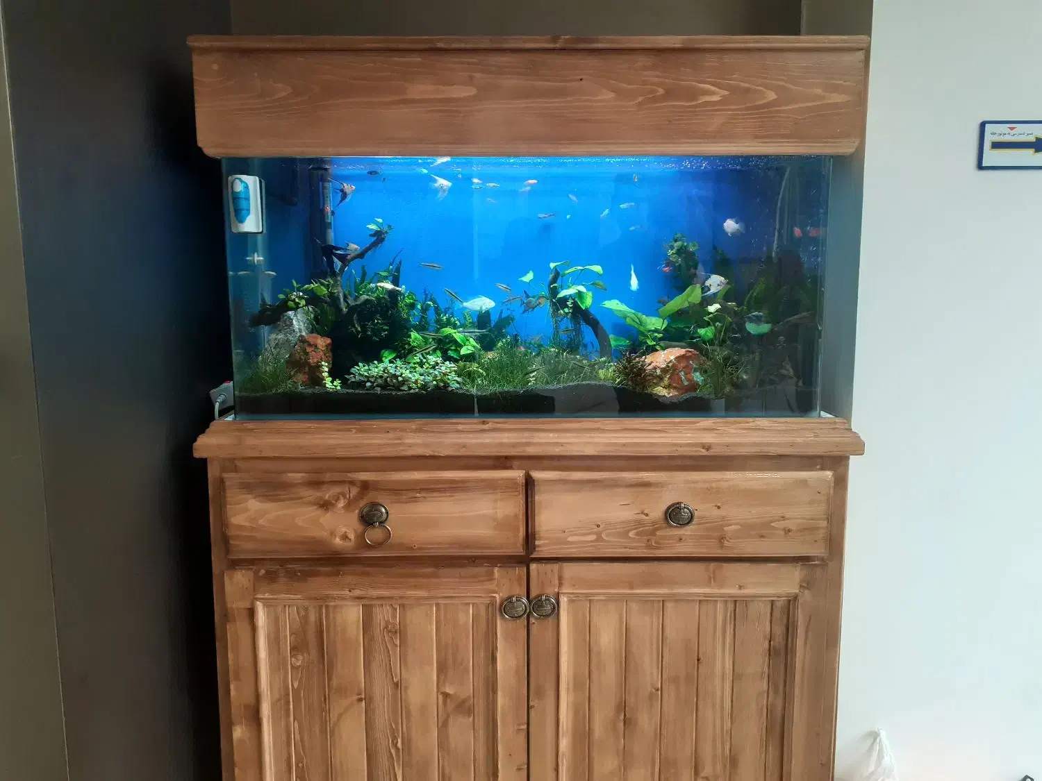 فروشنده مجرب|استخدام بازاریابی و فروش|جم, |دیوار