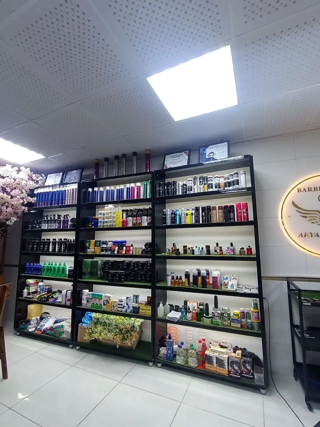 دکور|کتابخانه، شلف، قفسههای دیواری|اشنویه, |دیوار