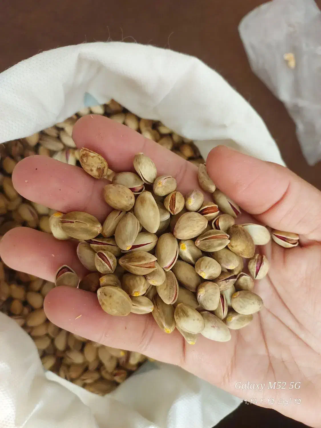 پسته کوهی|خوردنی و آشامیدنی|مشهد, سیس‌آباد|دیوار