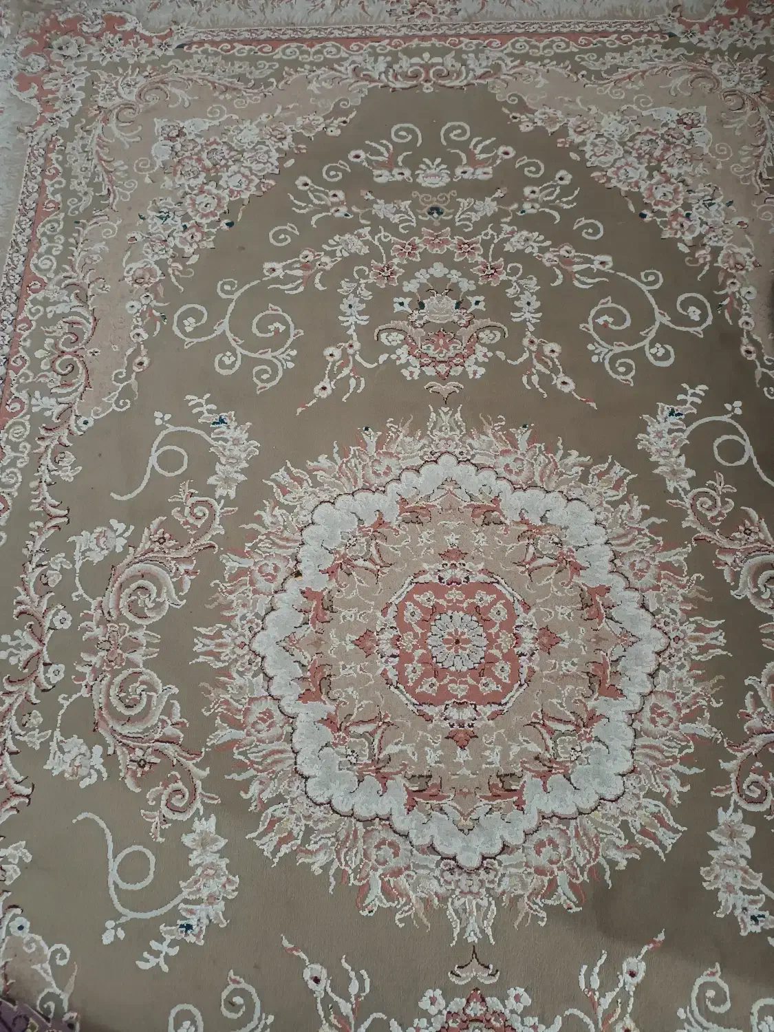 دو عدد فرش شش متری|فرش|سردشت, |دیوار