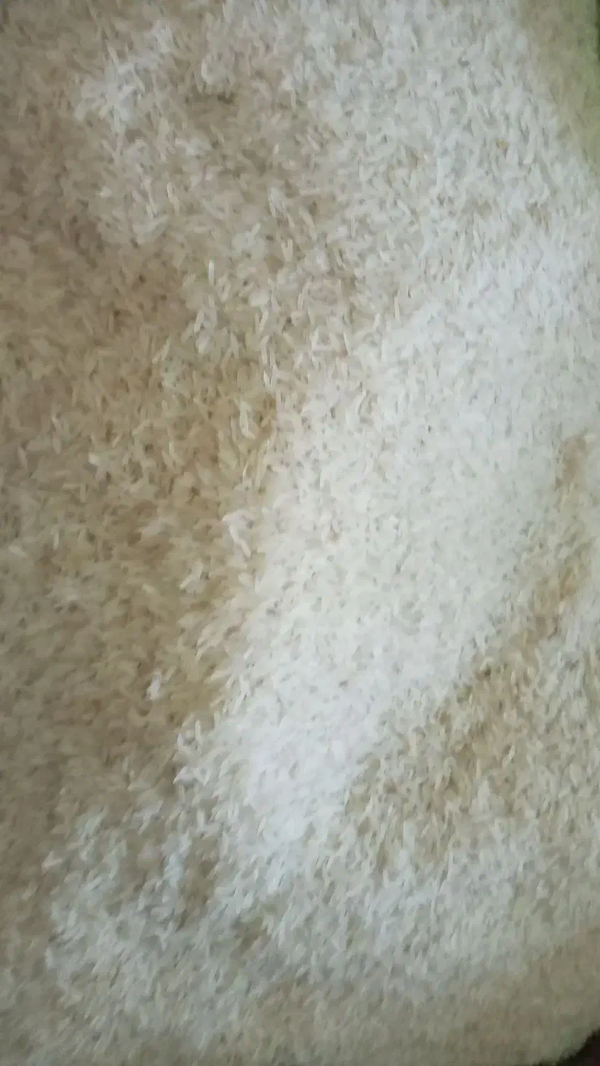 برنج هندی|خوردنی و آشامیدنی|قزوین, |دیوار