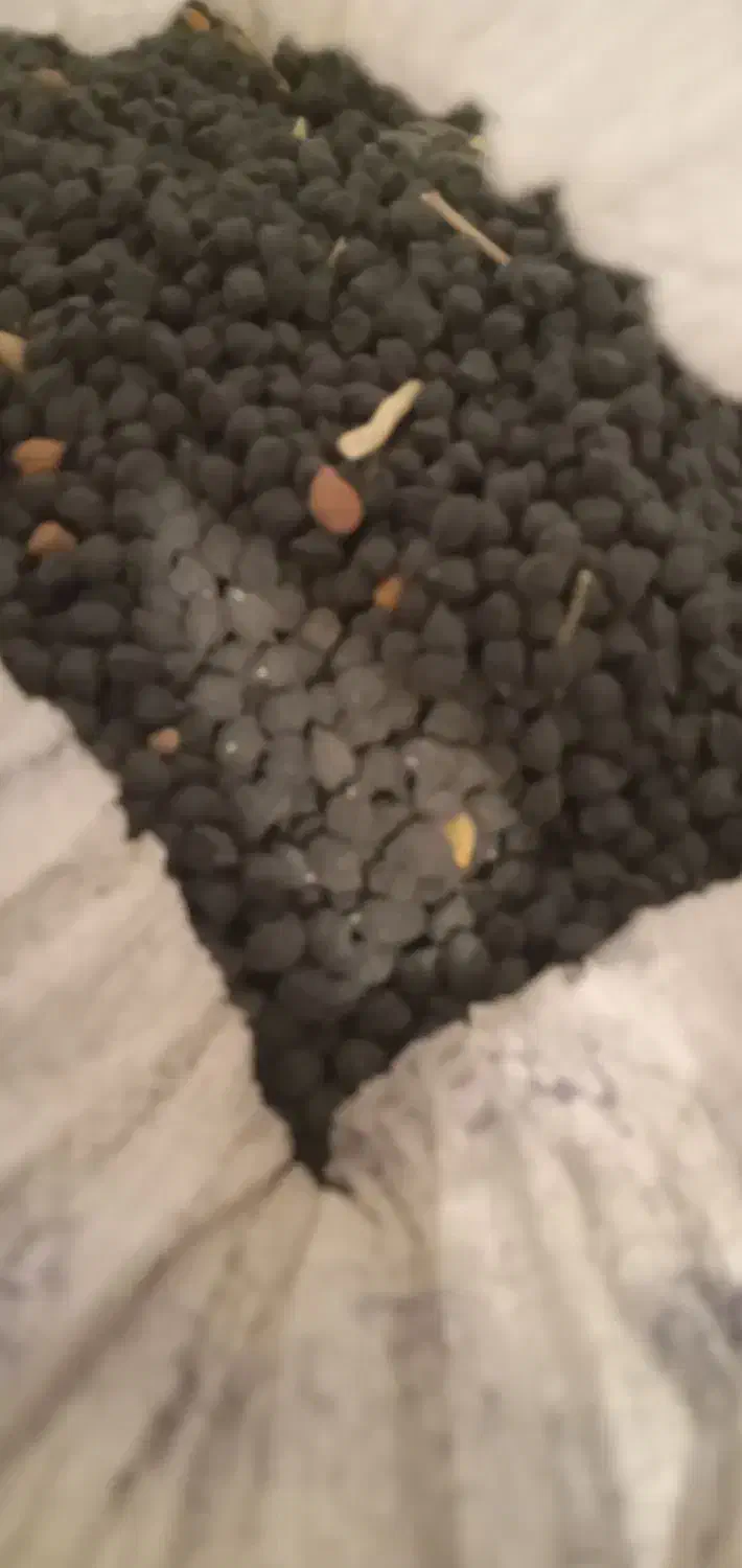 نخودسیاه|خوردنی و آشامیدنی|قلقل رود, |دیوار