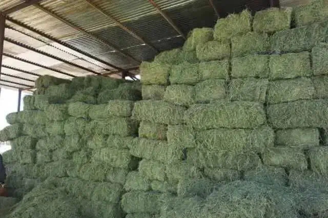 یونجه فروشی|عمدهفروشی|کبودرآهنگ, |دیوار