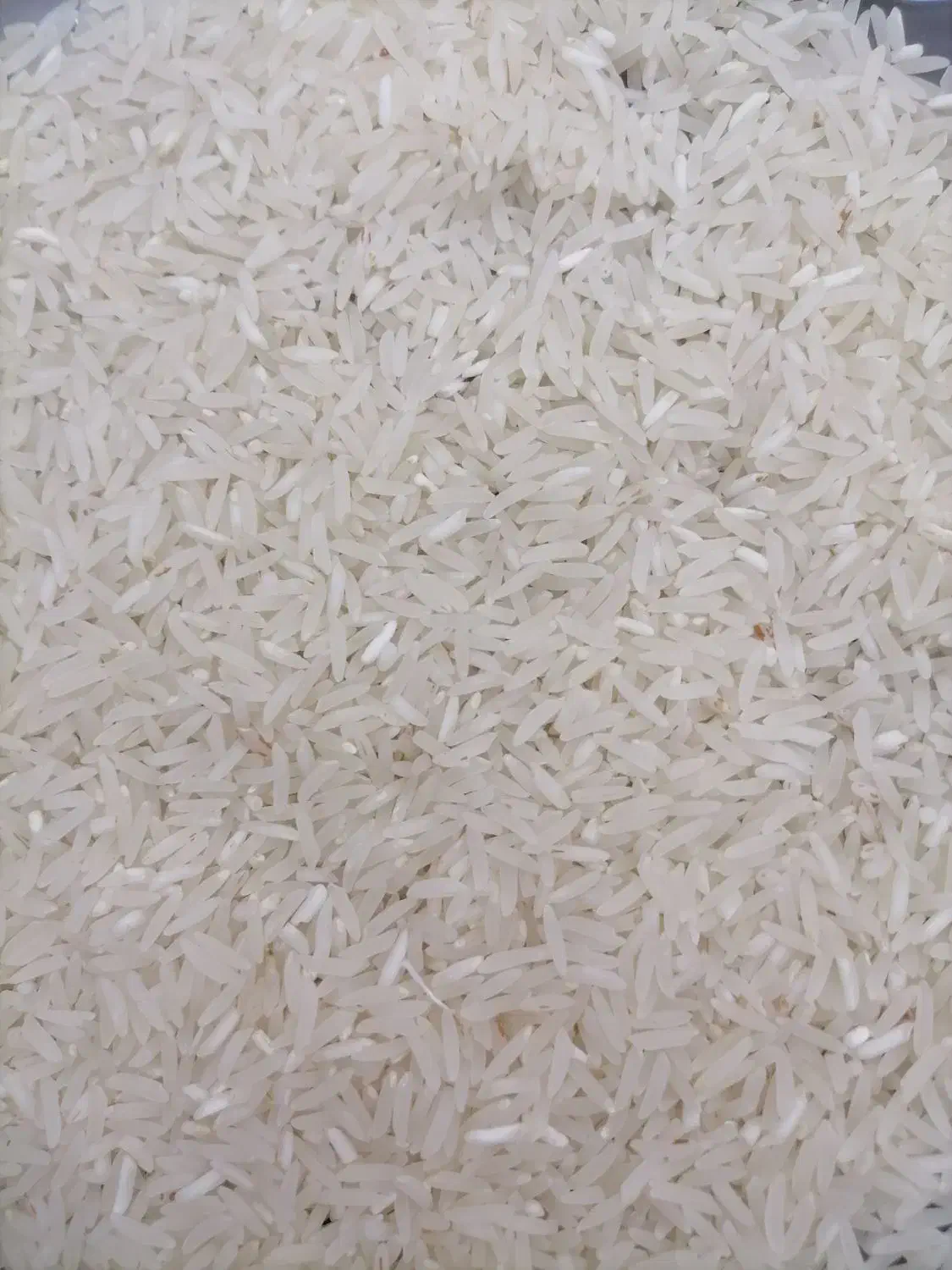 برنج فجر درجه یک 90 روزه|خوردنی و آشامیدنی|علی‌آباد کتول, |دیوار