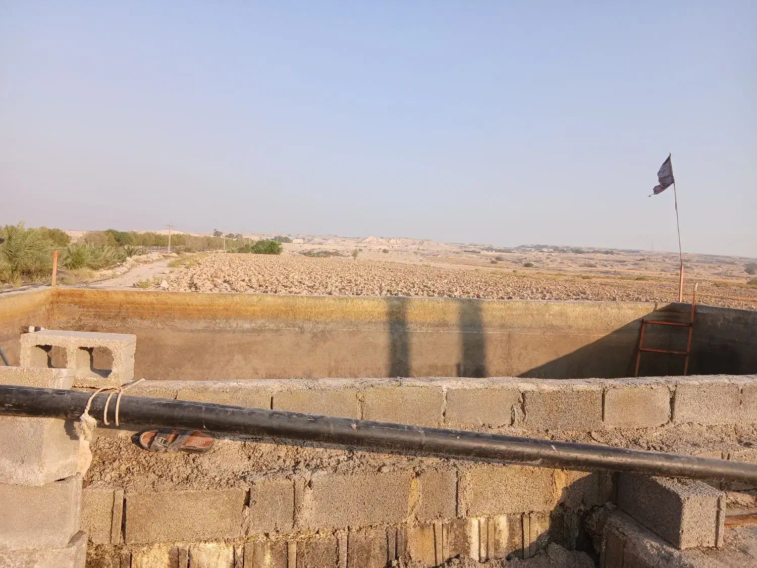 اجاره زمین کشاورزی خورموج|اجارهٔ دفتر صنعتی، کشاورزی، تجاری|بوشهر, |دیوار