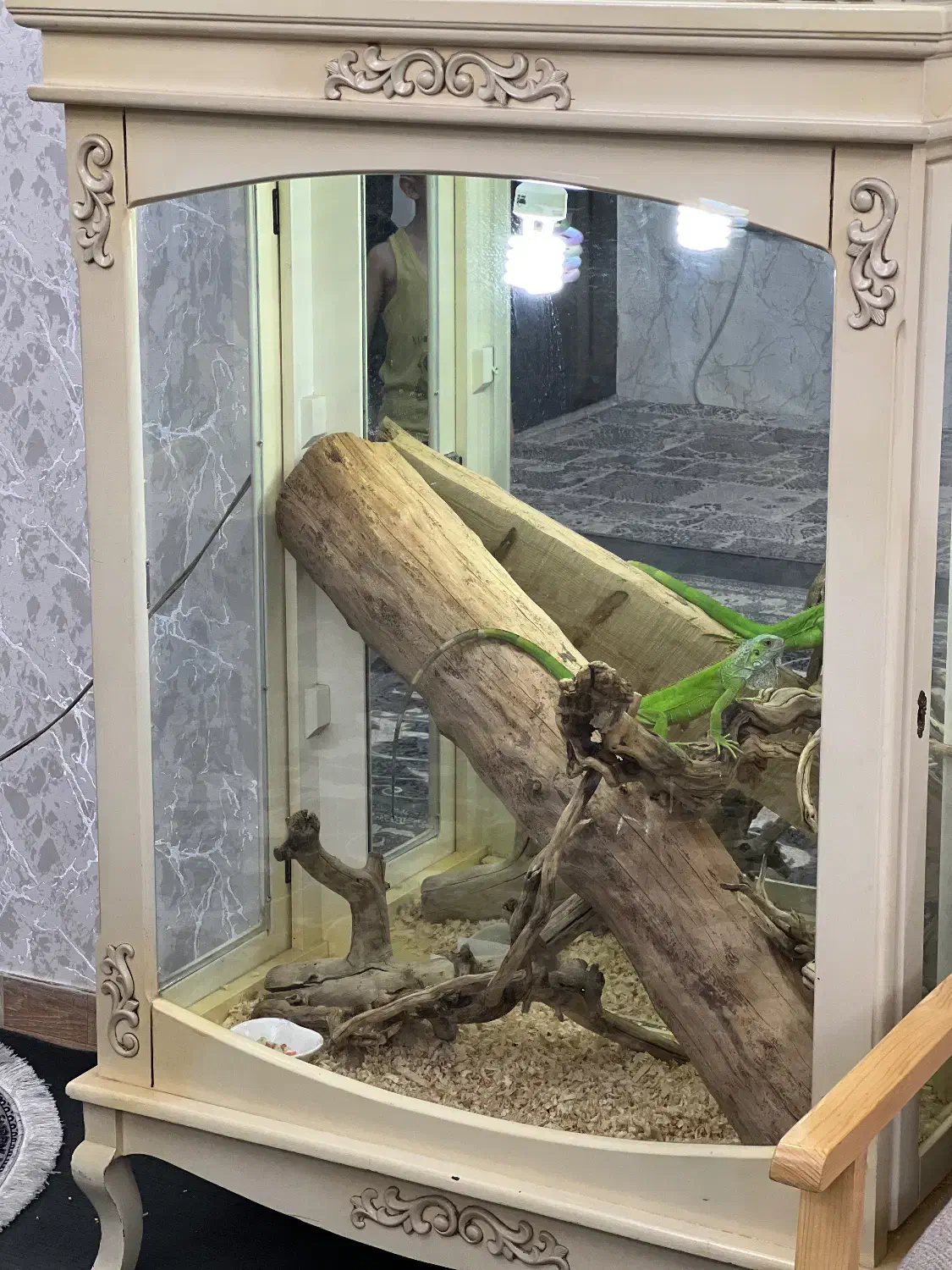 تراریوم خزنده با لامپ مخصوص|خزنده|تهران, شهید رجایی|دیوار