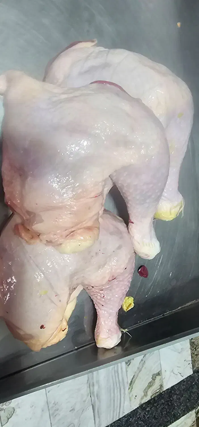 ران مرغ تازه|خوردنی و آشامیدنی|خواف, |دیوار