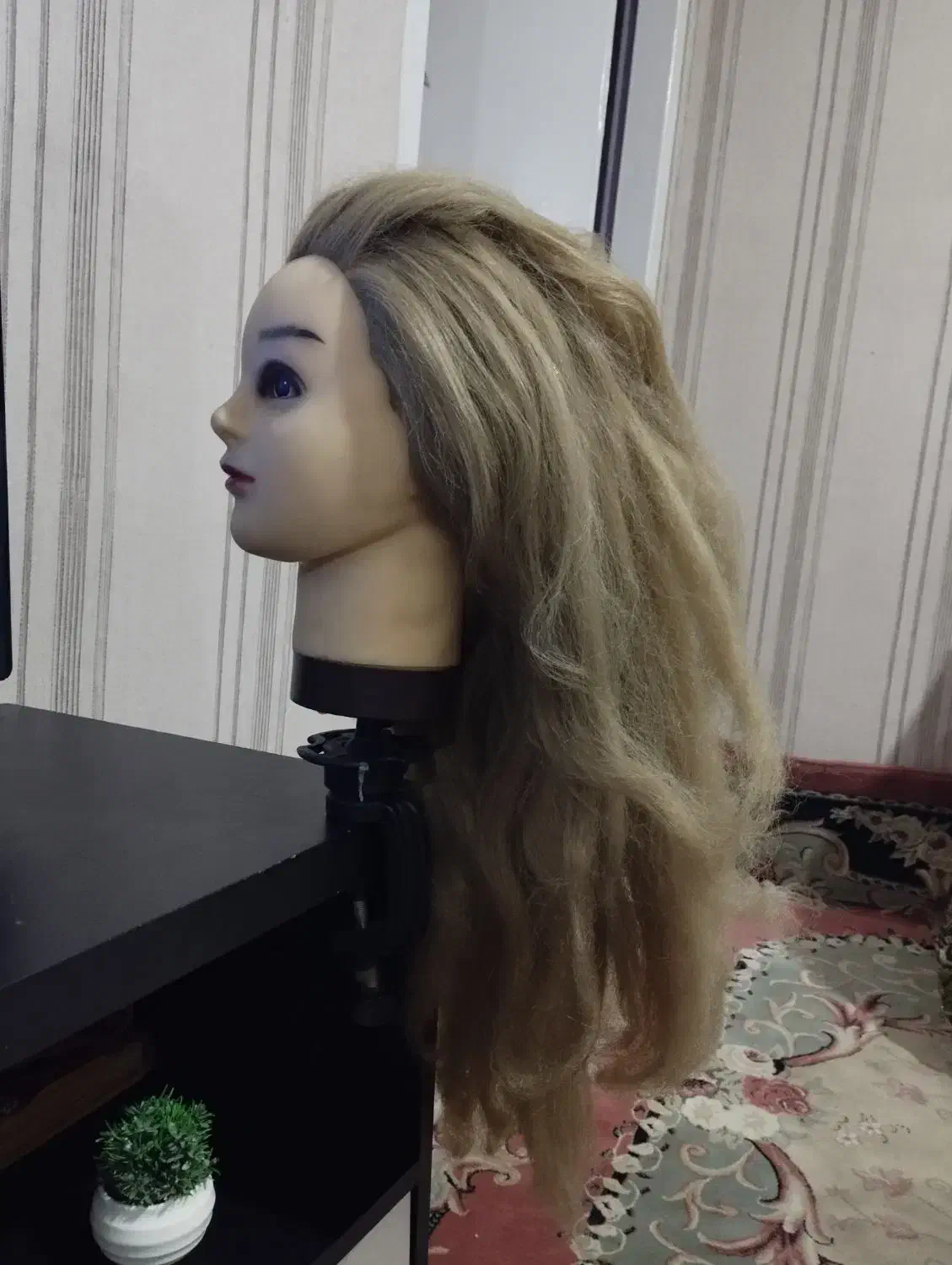 کله مانکن|آرایشی، بهداشتی، درمانی|اراک, |دیوار